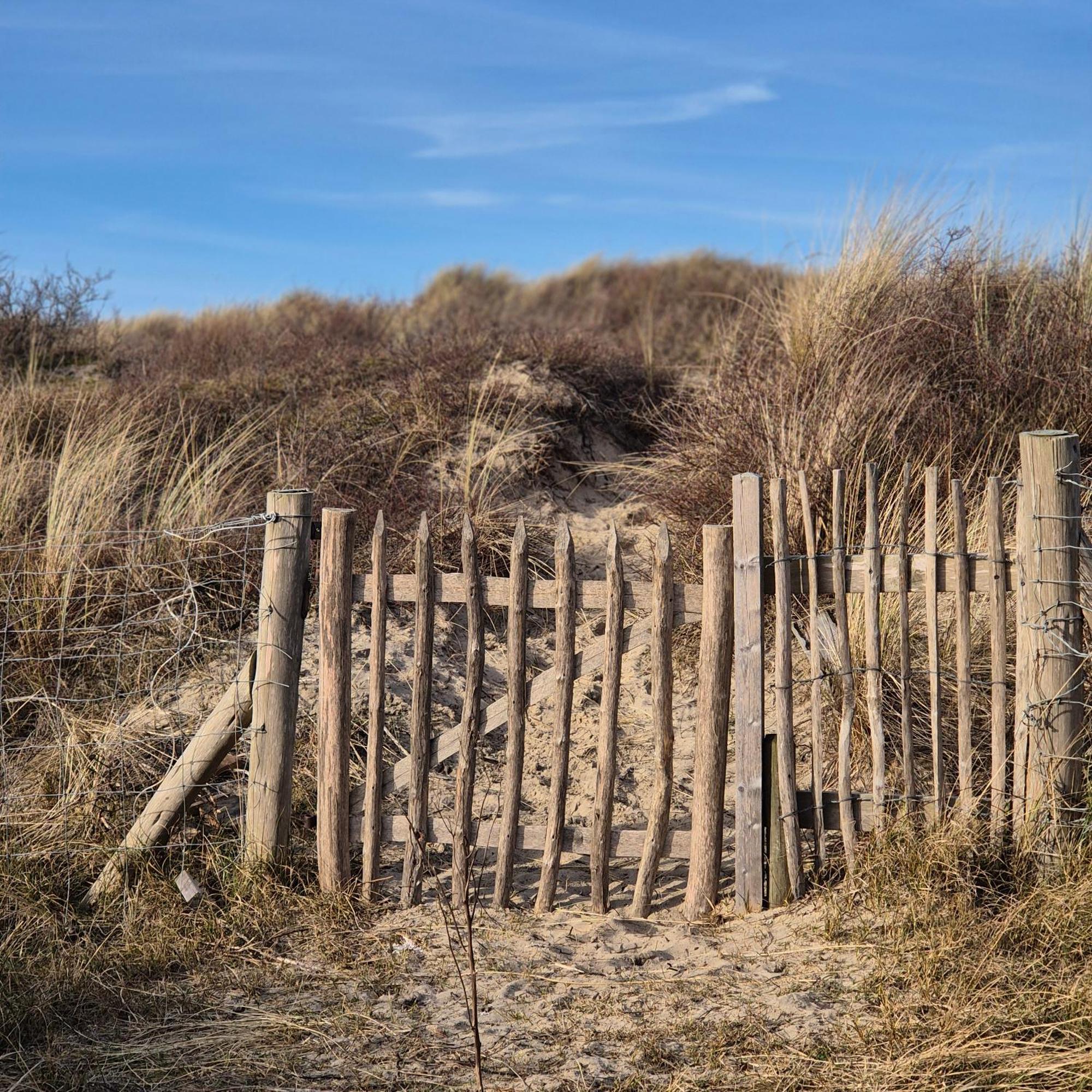 Tiny Villa De Haas Met Infraroodsauna Egmond aan Zee Εξωτερικό φωτογραφία